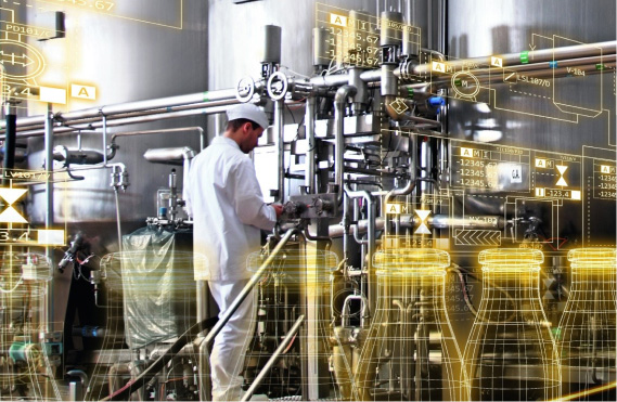 Food Industry